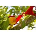 CALIBRADOR FRUTAS 7 MEDIDAS