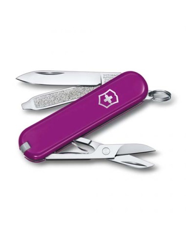 NAVAJA VICTORINOX CLASSIC SD TASTY GRAPE