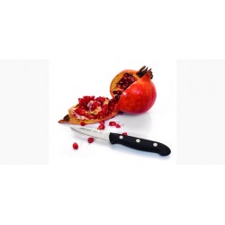 CUCHILLO PELADOR ARCOS MAITRE 2